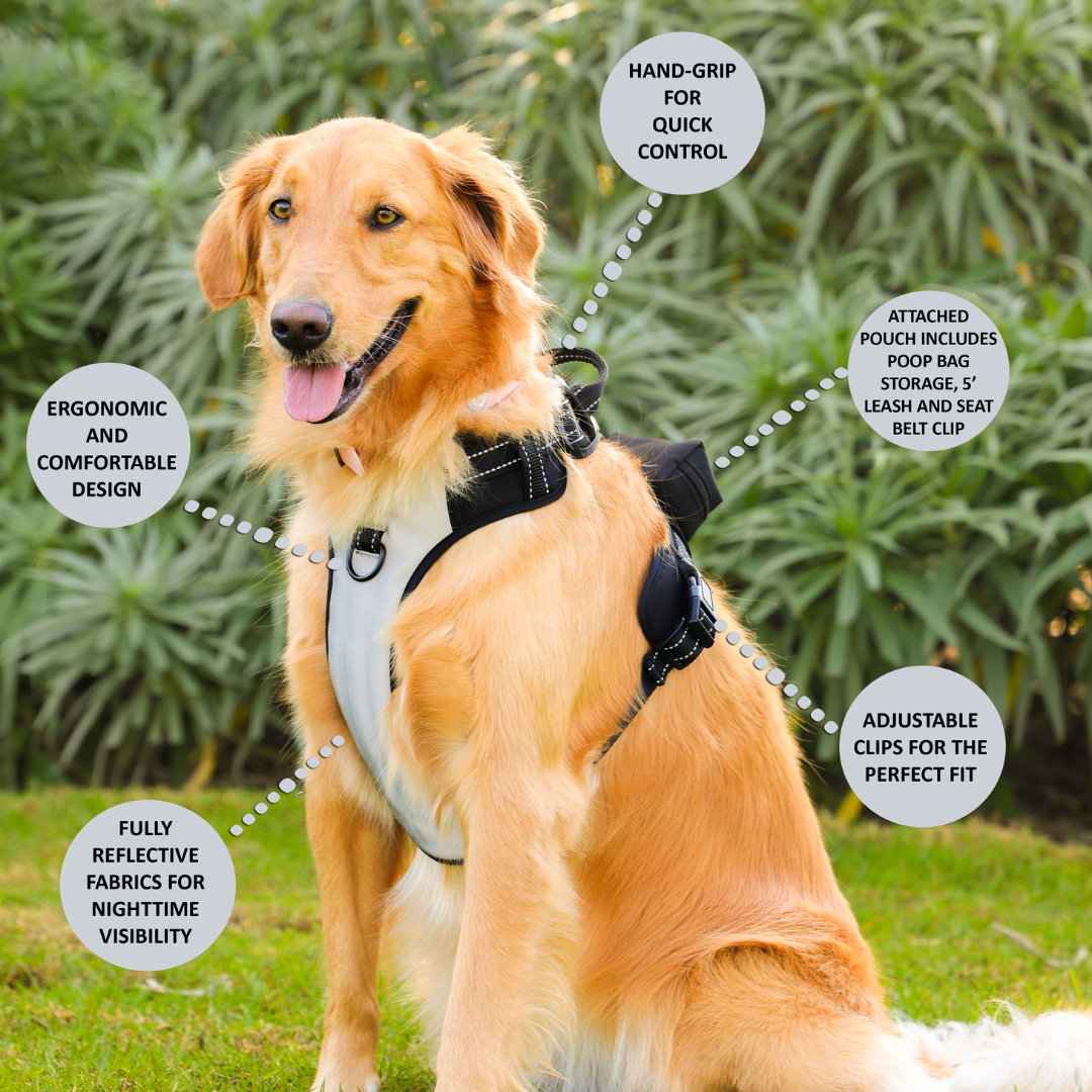 Big Old Pup 5-in-1 Reflective Dog Harness