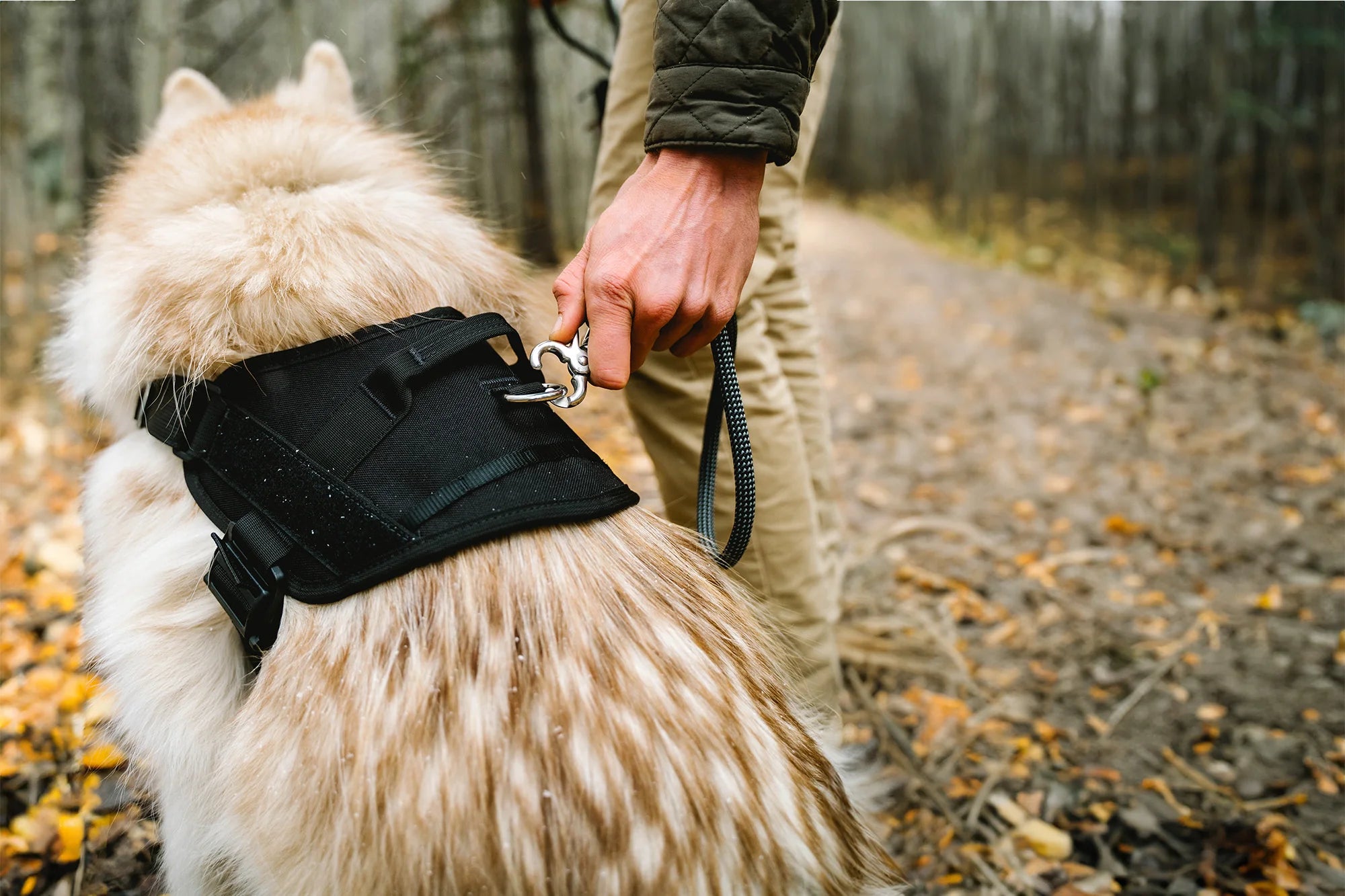 atlas-pet-company-lifetime-pro-harness-1.webp__PID:3be86901-1a33-457a-b302-402473b7a54a