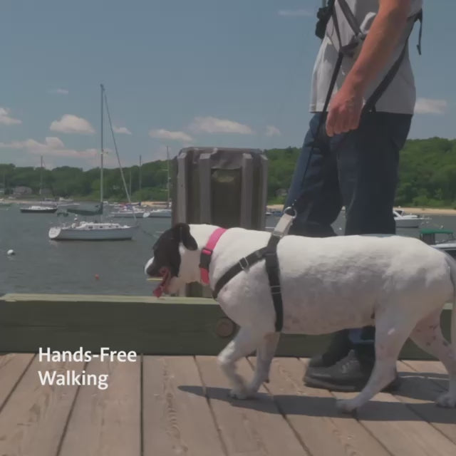 Big Old Pup 5-in-1 Multi-Utility Leash System